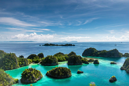 Breathtaking view of Raja Ampat, Indonesia, showcasing its stunning turquoise waters, vibrant coral reefs, and pristine islands—ideal for scuba diving, eco-tourism, and adventure travel in Southeast Asia.