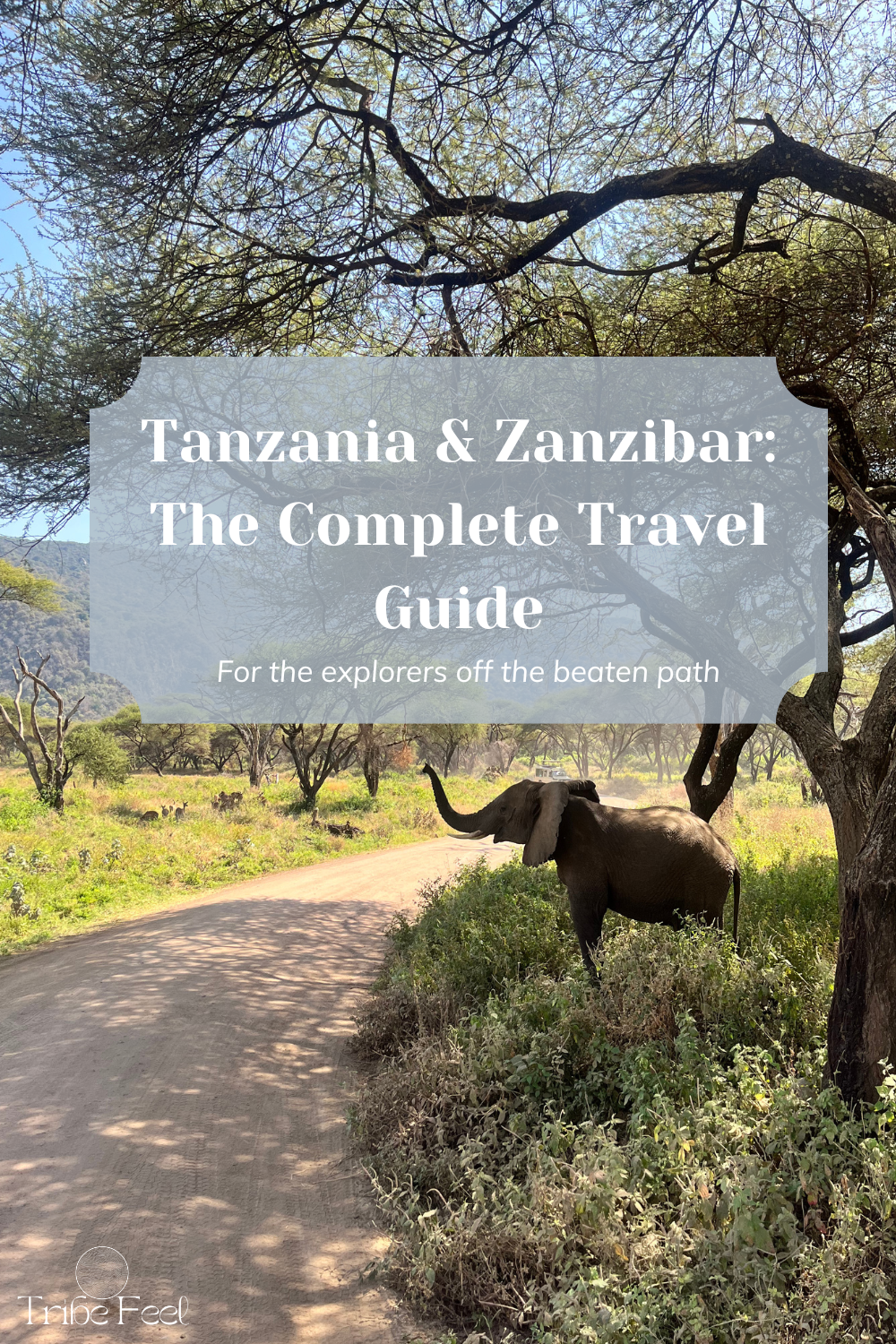Tanzania & Zanzibar Travel Guide: Itinerary, Hidden Gems & Packing Checklist  Travel Planners