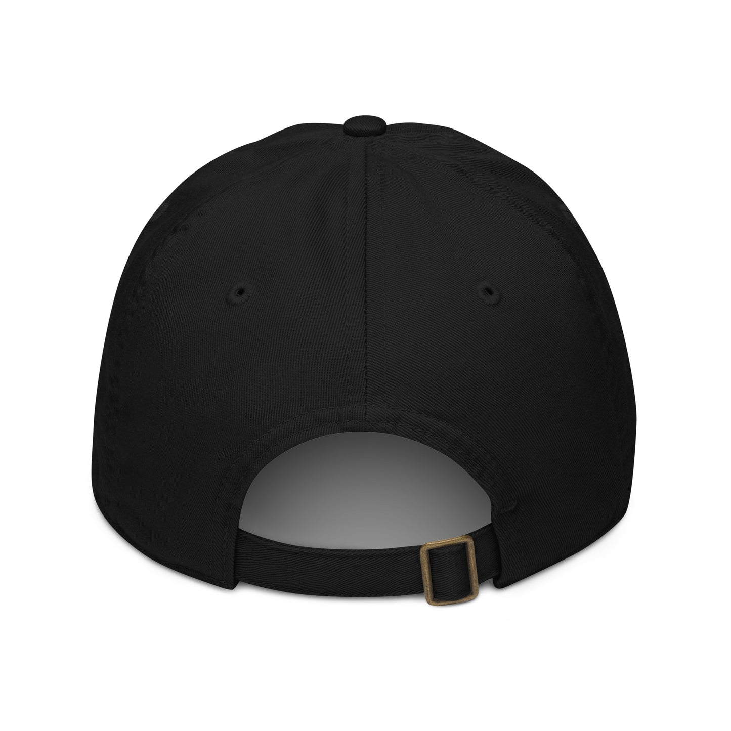 Flight Risk Baseball Cap - Classic Cap for Travellers - Travel Clothing