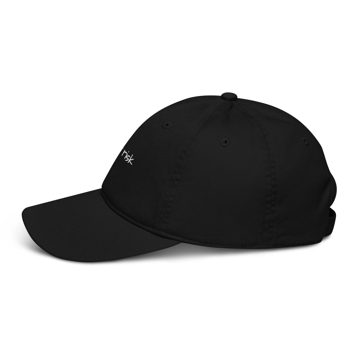 Flight Risk Baseball Cap - Classic Cap for Travellers - Travel Clothing