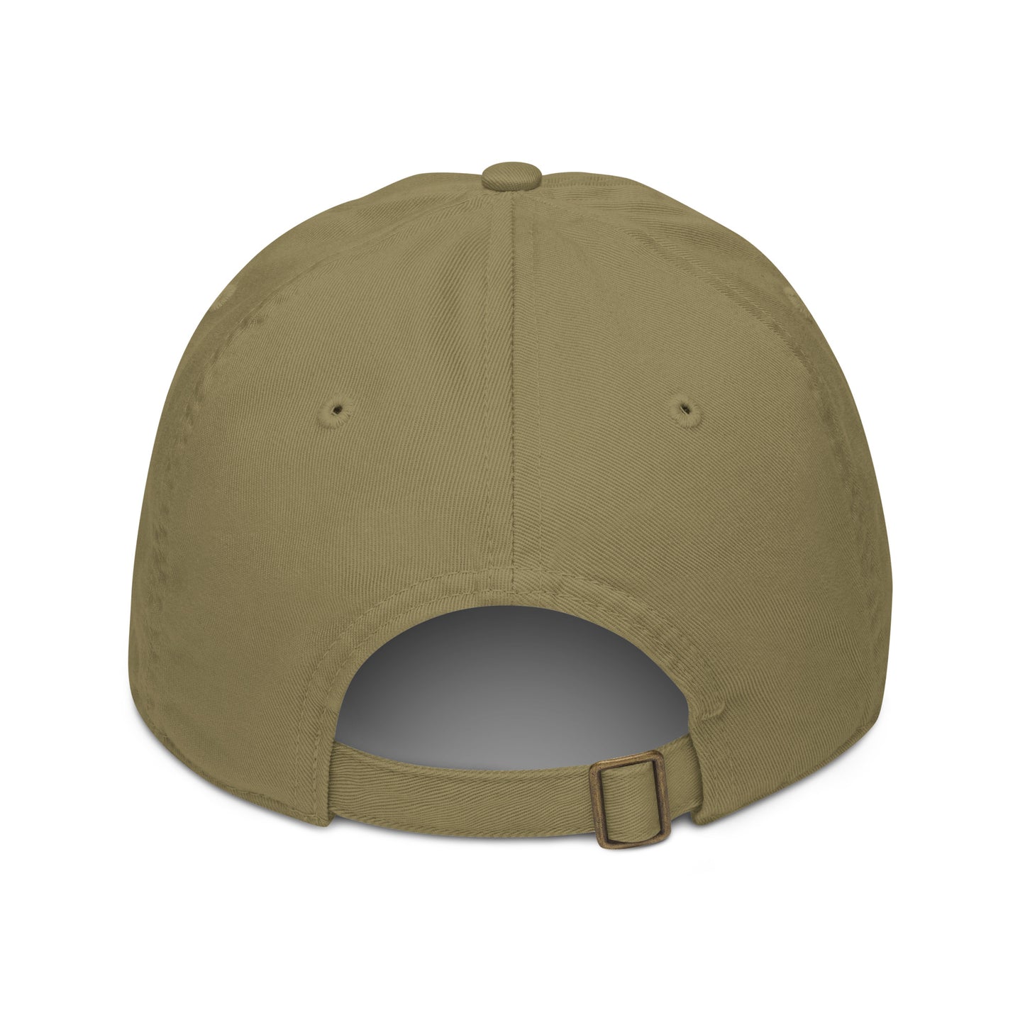 Flight Risk Baseball Cap - Classic Cap for Travellers - Travel Clothing