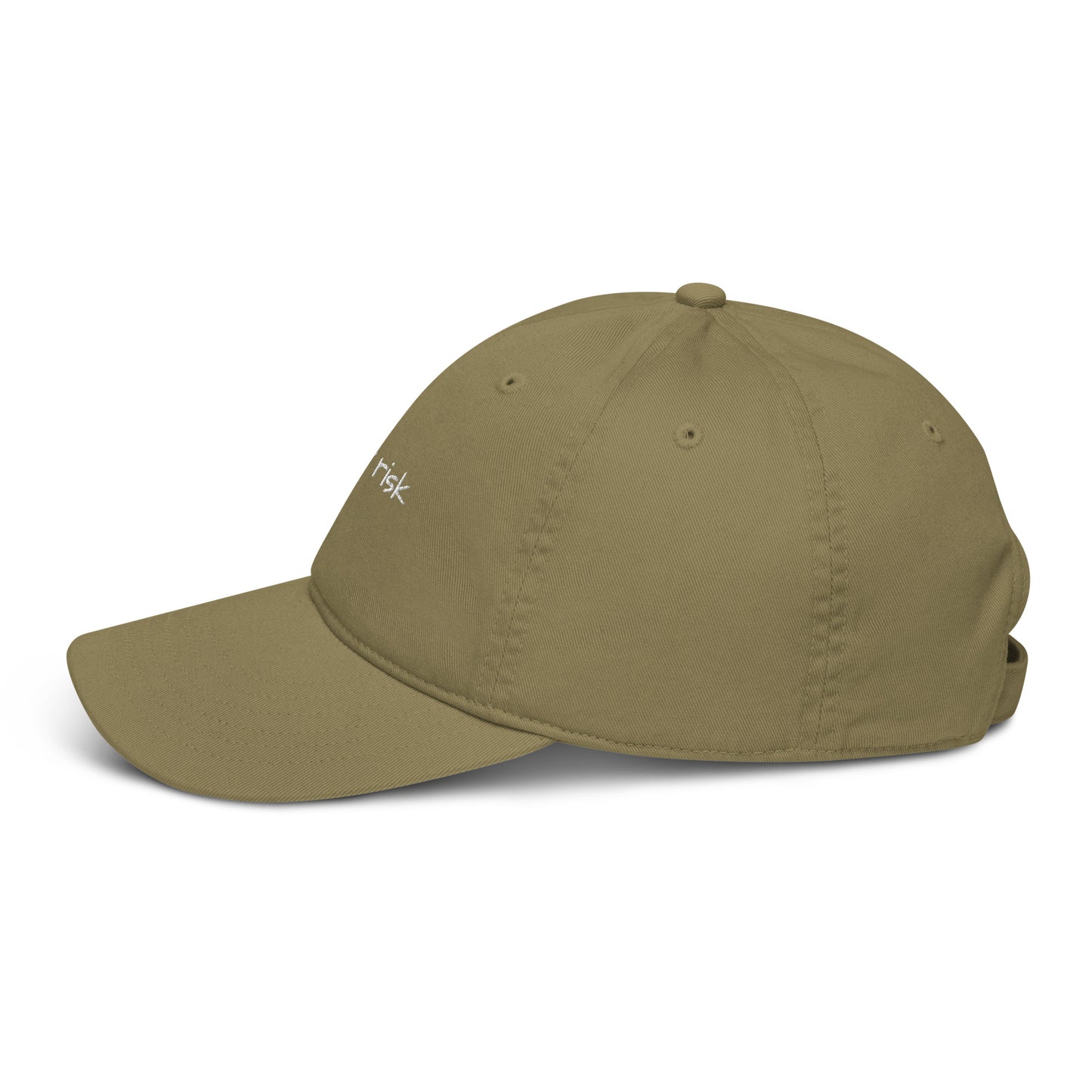 Flight Risk Baseball Cap - Classic Cap for Travellers - Travel Clothing