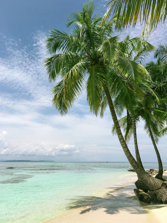 Beach Holiday Essentials: Beach Packing List Travel Accessories You Can’t Leave Without in 2025