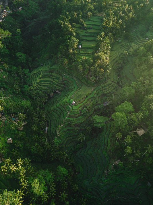 Bali Hidden Gems: Secret Spots & Off-the-Beaten-Path Adventures (2025) - Tribe Feel