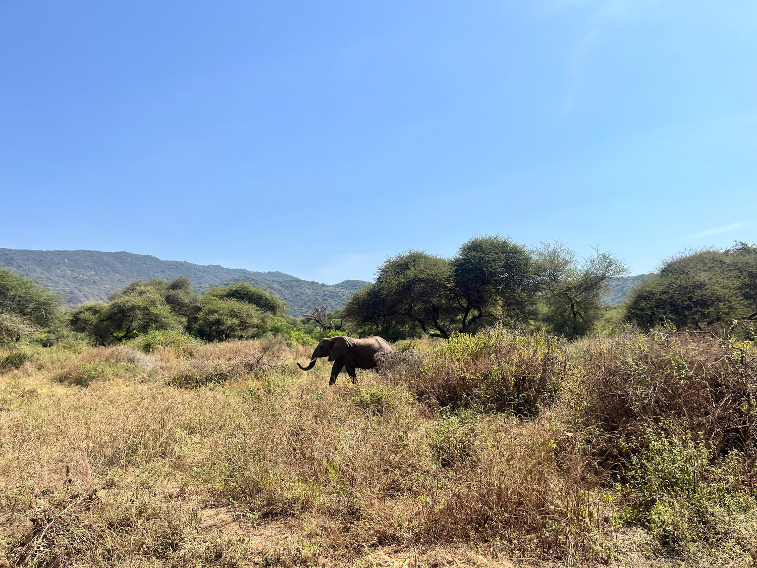 Travel-Essentials-for-East-Africa-Shop-Gear-Accessories Tribe Feel