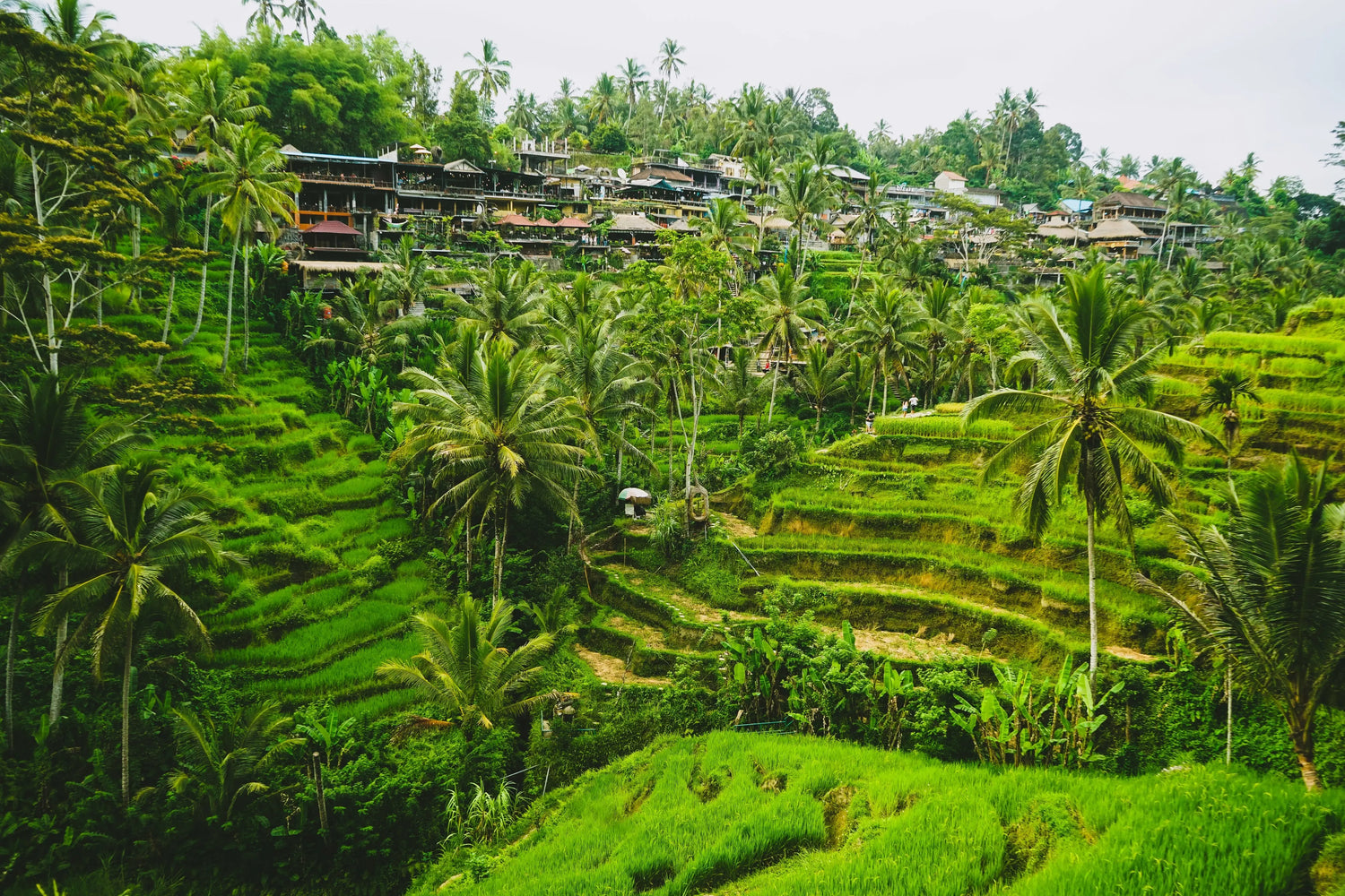 Travel essentials for southeast asia SEA - travel accessories for southeast asia