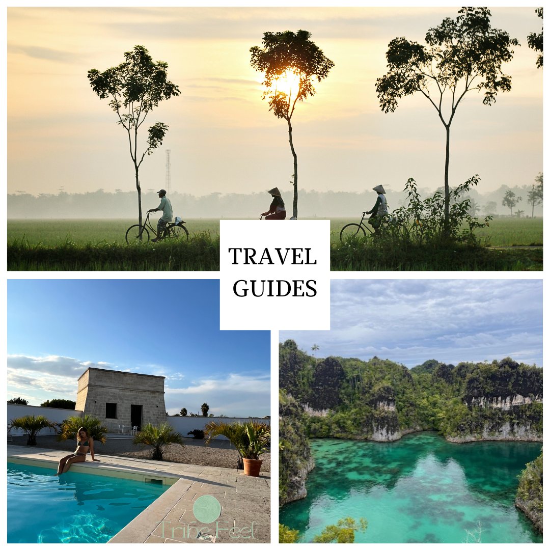 Customisable travel planner with city break and beach holiday packing lists, travel guide tips, and advice on what to pack and wear