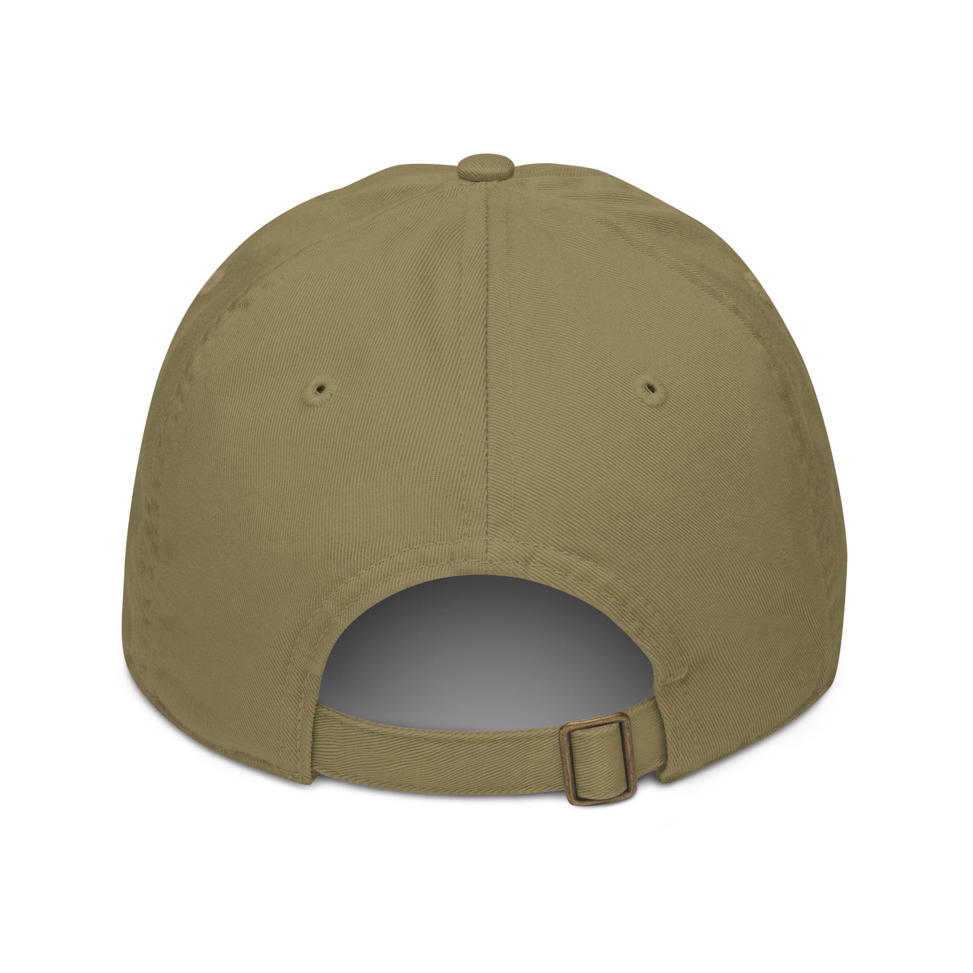 Flight Risk Baseball Cap - Classic Cap for Travellers -  Travel Clothing