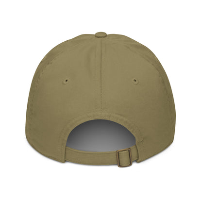 Flight Risk Baseball Cap - Classic Cap for Travellers -  Travel Clothing
